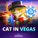 Cat in Vegas